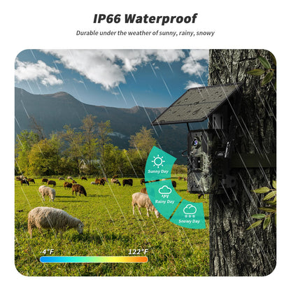 SEHMUA Trail Camera 2 Packs, AI Animal Detection Game Camera Built-in SIM Card 4G LTE Cellular Trail Cameras with Night Vision Motion Activated Waterproof IP66 with Unlimited Data Plan 2K Live View