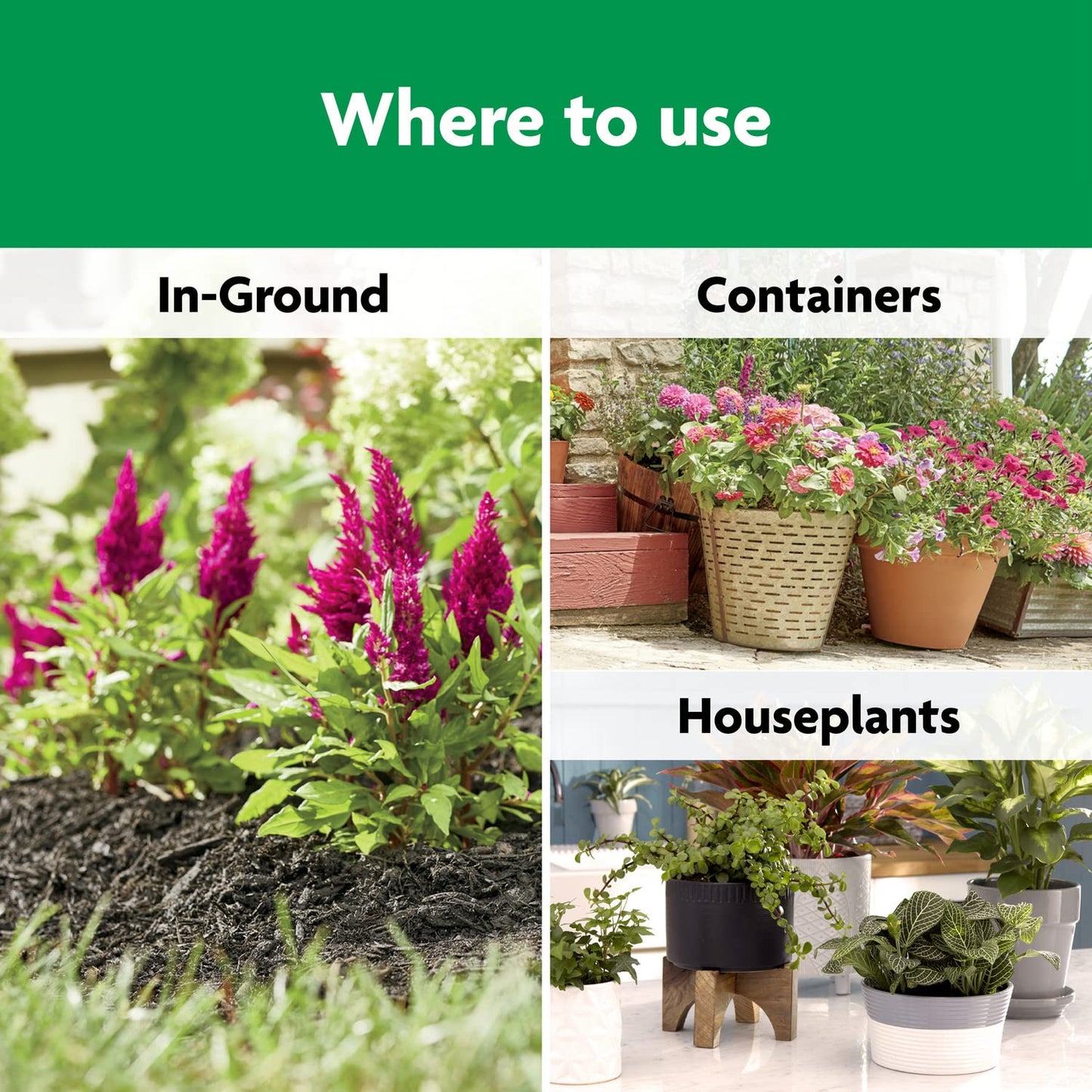 Miracle-Gro Shake 'N Feed All Purpose Plant Food - Ideal for Indoor & Outdoor Plants, 4.5 lbs.