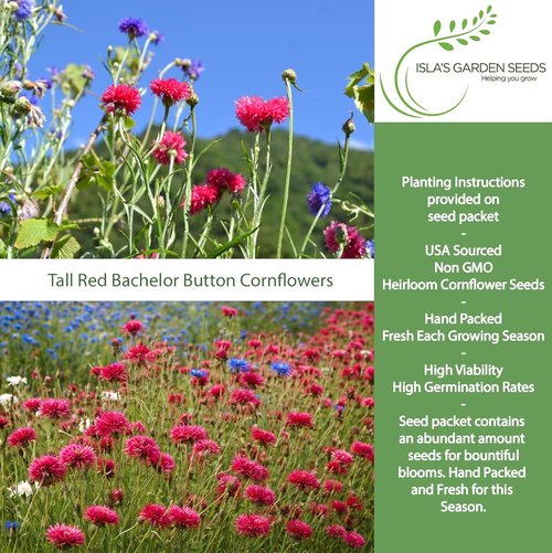 Isla's Garden Seeds Tall Red Bachelor Button Seeds - Non-GMO Heirloom Cornflower for Easy Summer Blooms | Classic Cut Flowers for Beds & Borders