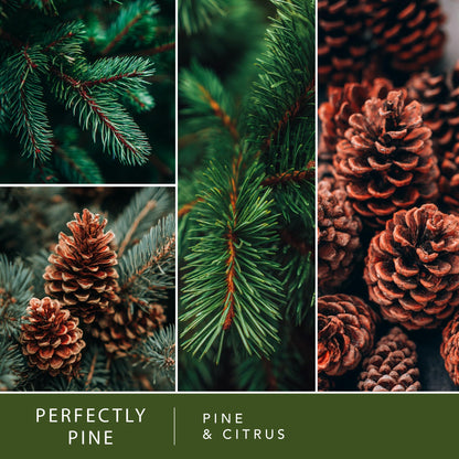 ScentSationals Perfectly Pine Scented Wax Melts - Pine Tree & Citrus, 10oz (24 Cubes)