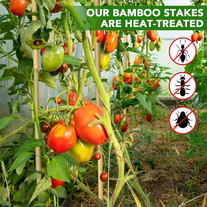 Bamboo Garden Stakes by [Brand Name] - 70 Pcs Natural 5 Feet Plant Support for Tomatoes, Beans & Climbing Plants
