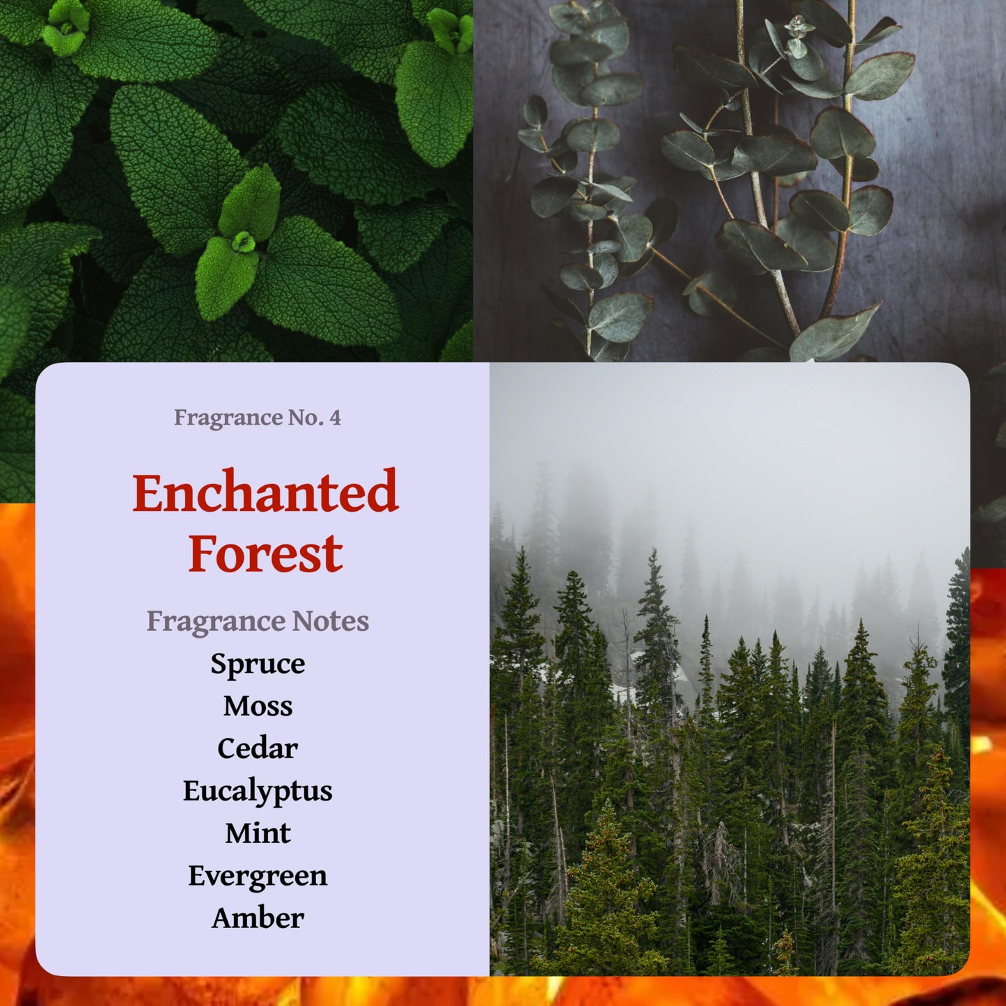 RUTH & ROSE Enchanted Forest Scented Candle, 100% Beeswax Candle for Home, 8oz, +65 Hours Burn Time, Aromatherapy Non Toxic Candles, Gift for Women & Men, Made in USA, Perfect for Travel or Gifting