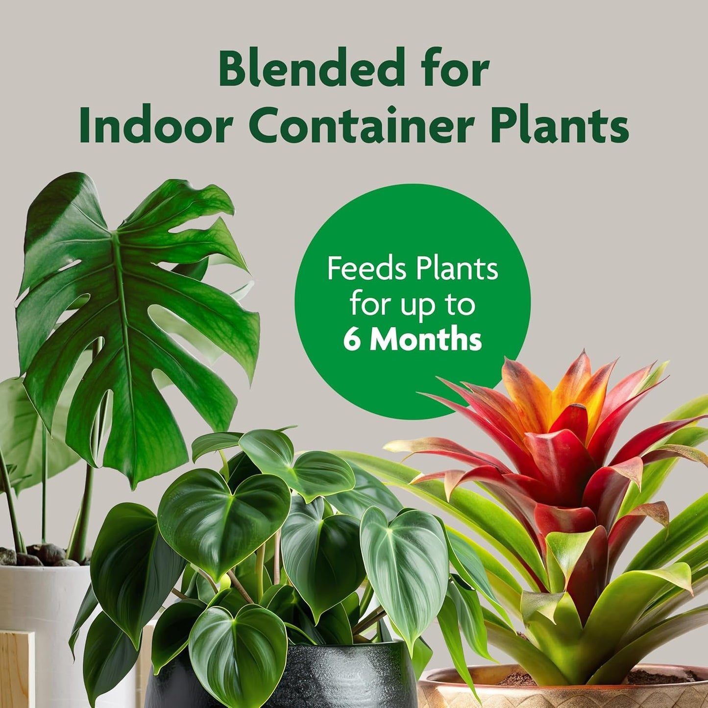 Miracle-Gro Indoor Potting Mix - Nutrient-Rich Blend for Houseplants | 6 Qt. | 2-Pack