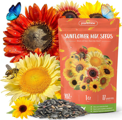 Sunflower Seeds - Giant Mammoth Heirloom Bulk Packet | 3000+ High Germination Seeds for Home Garden
