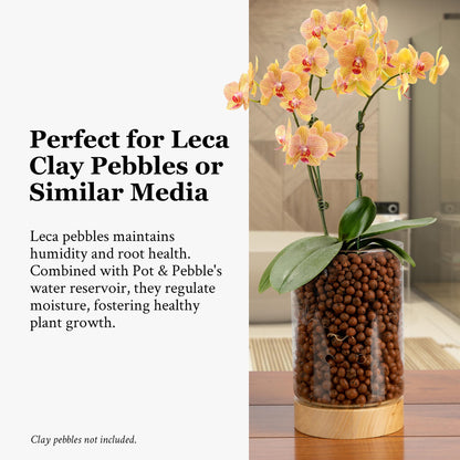 Pot & Pebble - C1 Glass Planter with Wooden Base - Indoor Glass Planter with Water Level Control Holes -Grow Plants in LECA Clay Pebbles/Similar Media - Semi Hydroponic Planter - Plant Cutting Holder