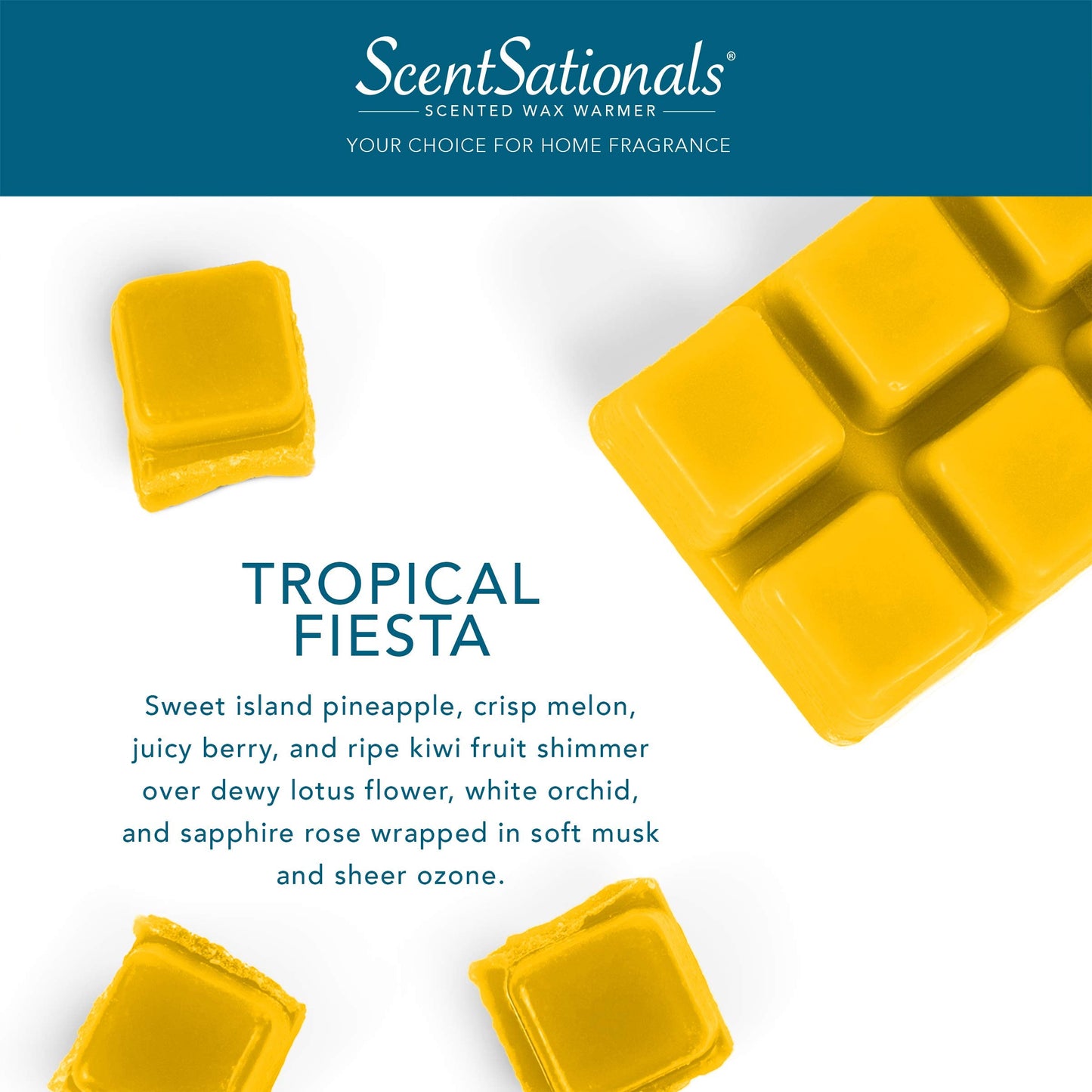 ScentSationals Tropical Fiesta Scented Wax Melts - Pineapple, Berries, & Kiwi, 10oz (24 Cubes)