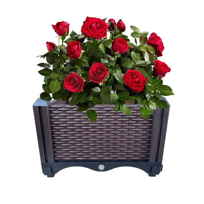 Trenton Gifts Raised Planter Box. Brown. Great for Outdoor Plants & Flowers