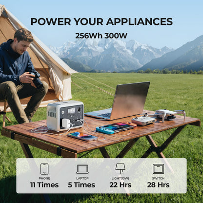 DYNESS Portable Power Station 300W, 256Wh Solar Generator with 110V Pure Sine Wave AC Outlet, LiFePO4 Battery for Camping, Home Backup, RV, Outdoor Emergency (Solar Panel Optional)