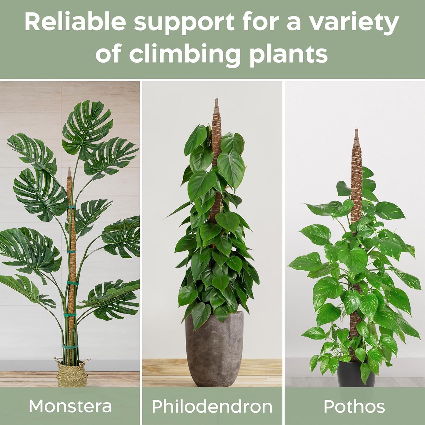 K-Brands 3 Pack Bendable Moss Pole | 48'' Monstera Plant Support for Indoor Climbing Plants