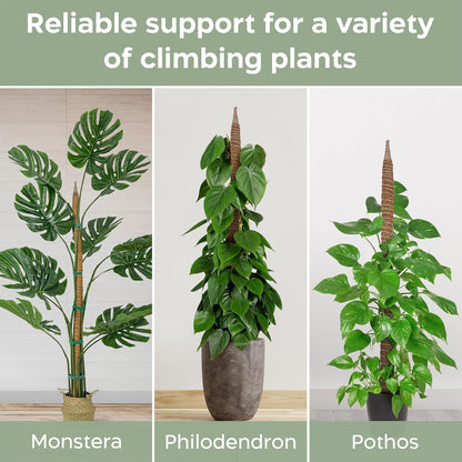 K-Brands 3 Pack Bendable Moss Pole | 48'' Monstera Plant Support for Indoor Climbing Plants