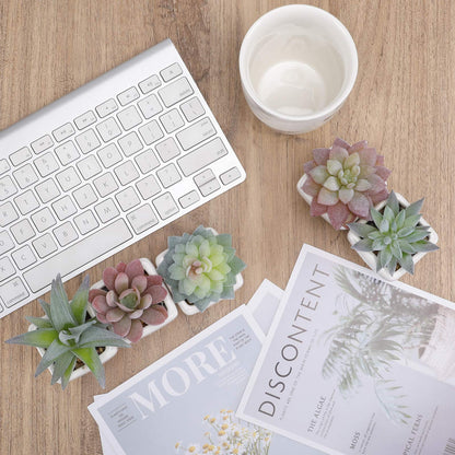 FUNARTY 5pcs Artificial Succulent Plants, Small Fake Desk Plants Mini Succulents Indoor for Shelf Living Room Bedroom Windowsills Office Home Decoration (Include White Ceramic Pots)