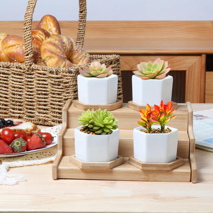 T4U Small White Succulent Planter Pots with Bamboo Tray Hexagon Set of 2, Geometric Ceramic Cactus Plant Holder, Succulent Plant Gifts for Gardener Women Coworker, Home Office Table Desk Decoration