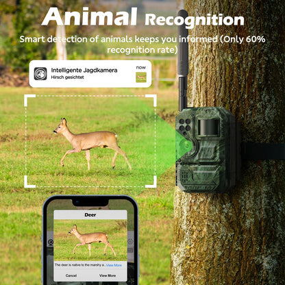4G LTE Cellular Trail Camera with Pre-installed SIM Card, 2K Live Streaming, Solar Powered, Low Glow Night Vision, Remote Access, Motion Activated, Two-Way Audio Game Camera for Outdoor Security