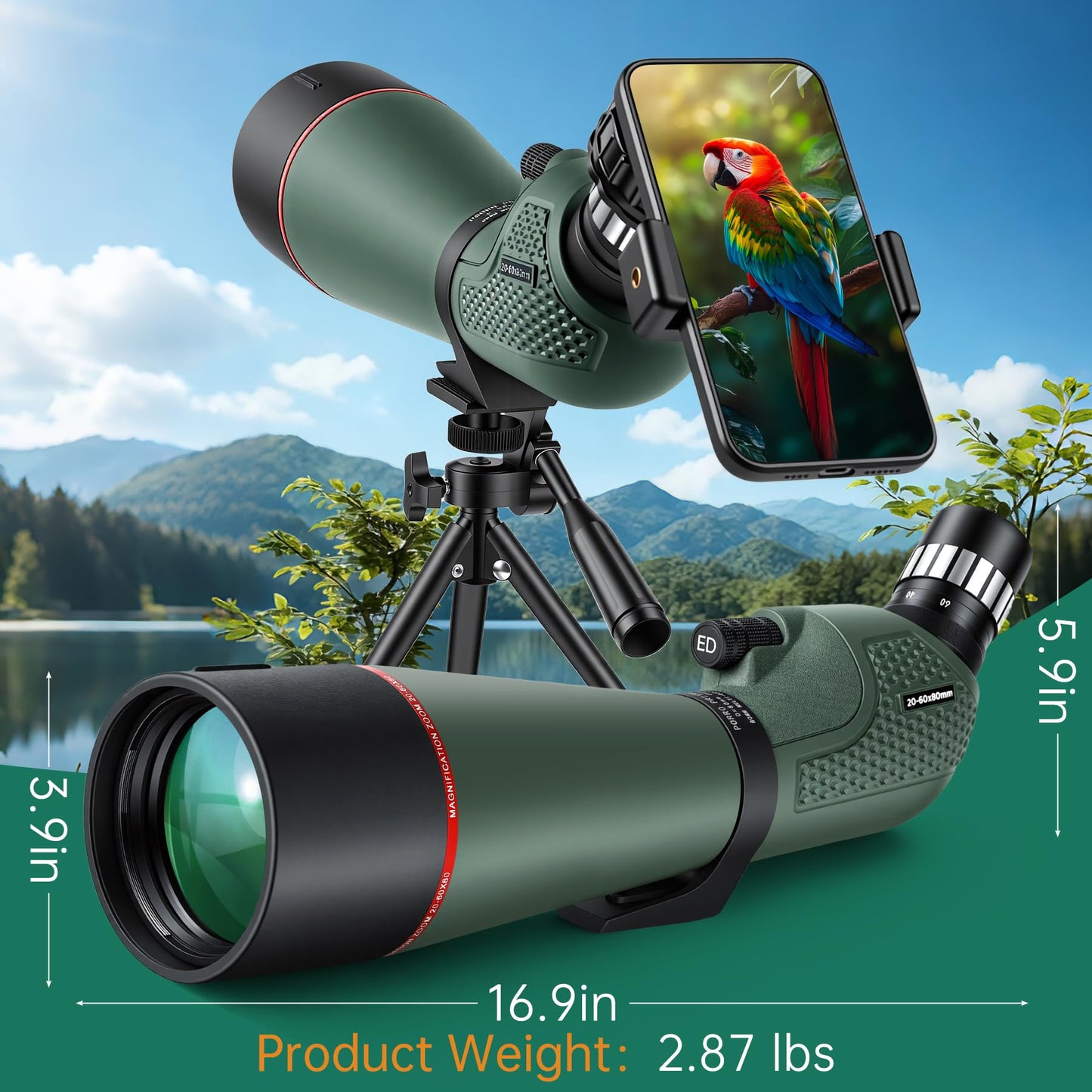 TOCHUNG 20-60x80 HD Spotting Scope | Waterproof & Fogproof High-Powered Telescope for Long-Distance Birdwatching, Target Shooting, Astronomy | Included Phone Adapter & Tripod & Carry Bag
