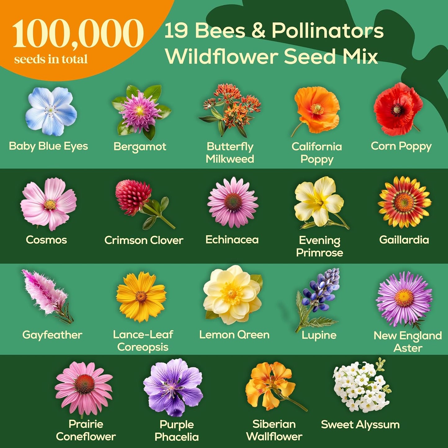 Seedphony 19 Bee Wildflower Seeds Mix - 100,000 Non-GMO Heirloom Seeds for Pollinators | 4oz Waterproof Packet