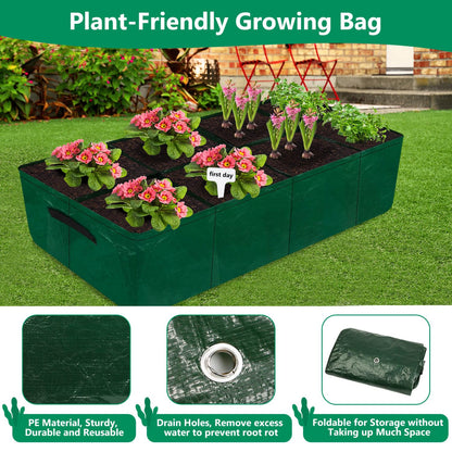 Caffox 2 Pack Fabric Raised Garden Bed, 4x2x0.8ft Plant Grow Bags for Flowers and Vegetables, 94 Gallon