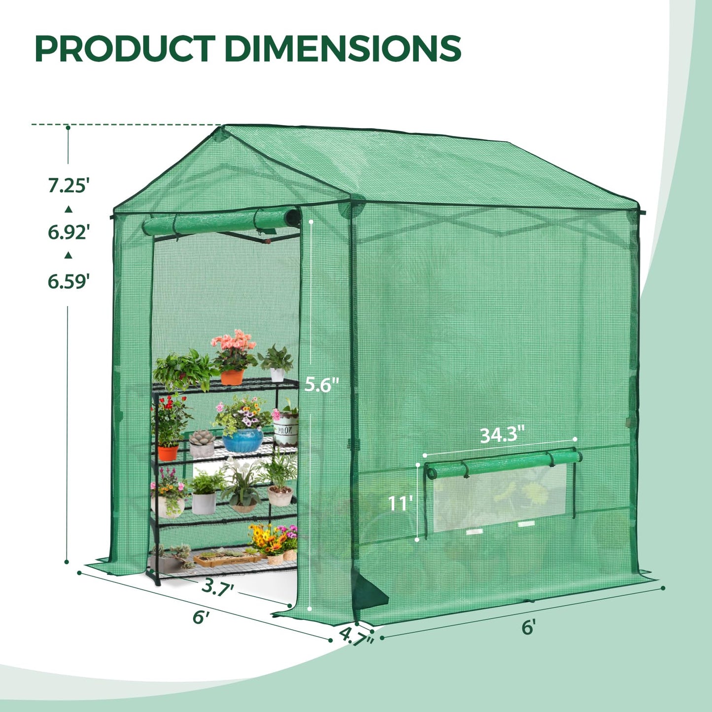 INTER HUT 6x6 Pop Up Greenhouse, Instant Walk in Green House with PE Cover, Power Ports, Roll up Doors & Windows for Indoor Outdoor Plant Growing, Green