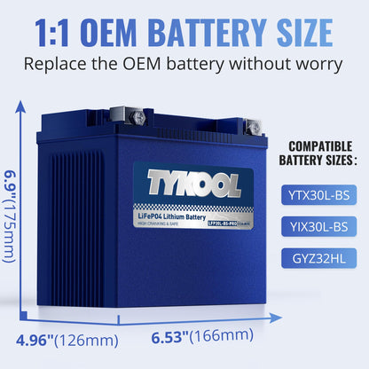 TYKOOL LFP30L-BS-PRO Lithium LiFePO4 Battery 18Ah 800CCA, LCD Readout IP66,Compatible with Harley Touring Road Glide Street Glide, Polaris RZR Ranger 1000, Can-Am Defender Maverick, Replaces YTX30L-BS