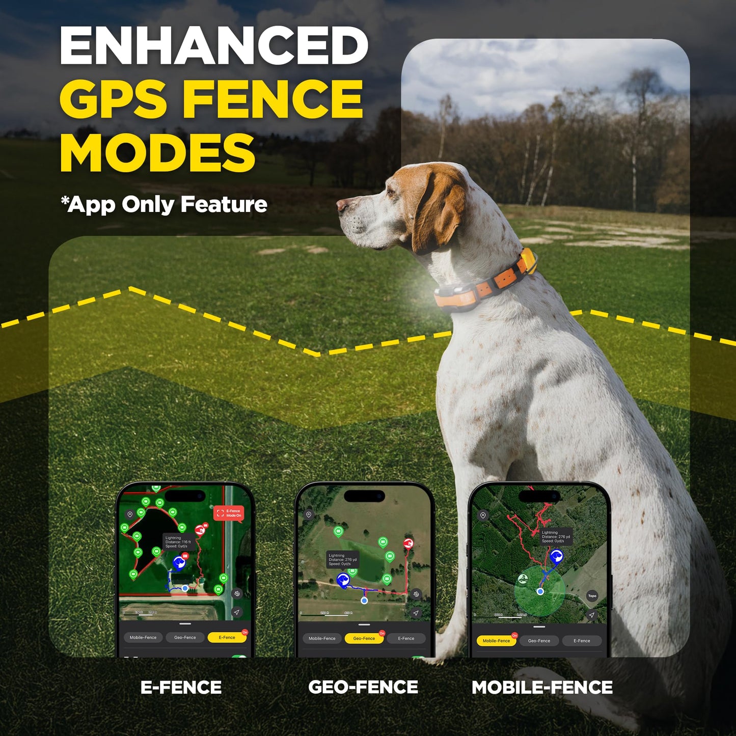 Dogtra PATHFINDER2 Compass Handheld Only - Live GPS Dog Tracking & Training E-Collar Remote (Requires Receiver), Built-in 2" LCD, No Subscription Required, 4 or 9-Mile Range, Expandable to 21 Dogs