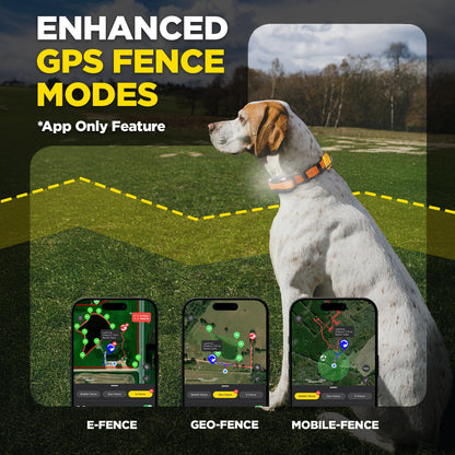 Dogtra PATHFINDER2 Compass Handheld Only - Live GPS Dog Tracking & Training E-Collar Remote (Requires Receiver), Built-in 2" LCD, No Subscription Required, 4 or 9-Mile Range, Expandable to 21 Dogs