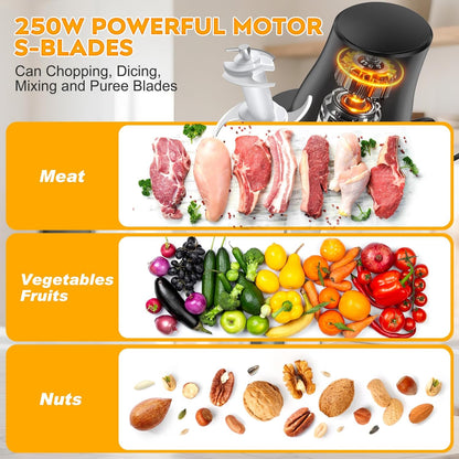 Skiennix Electric Chicken Shredder Tool - 250W Multifunctional Meat Grinder for Chicken, Fruits & Vegetables (Black)