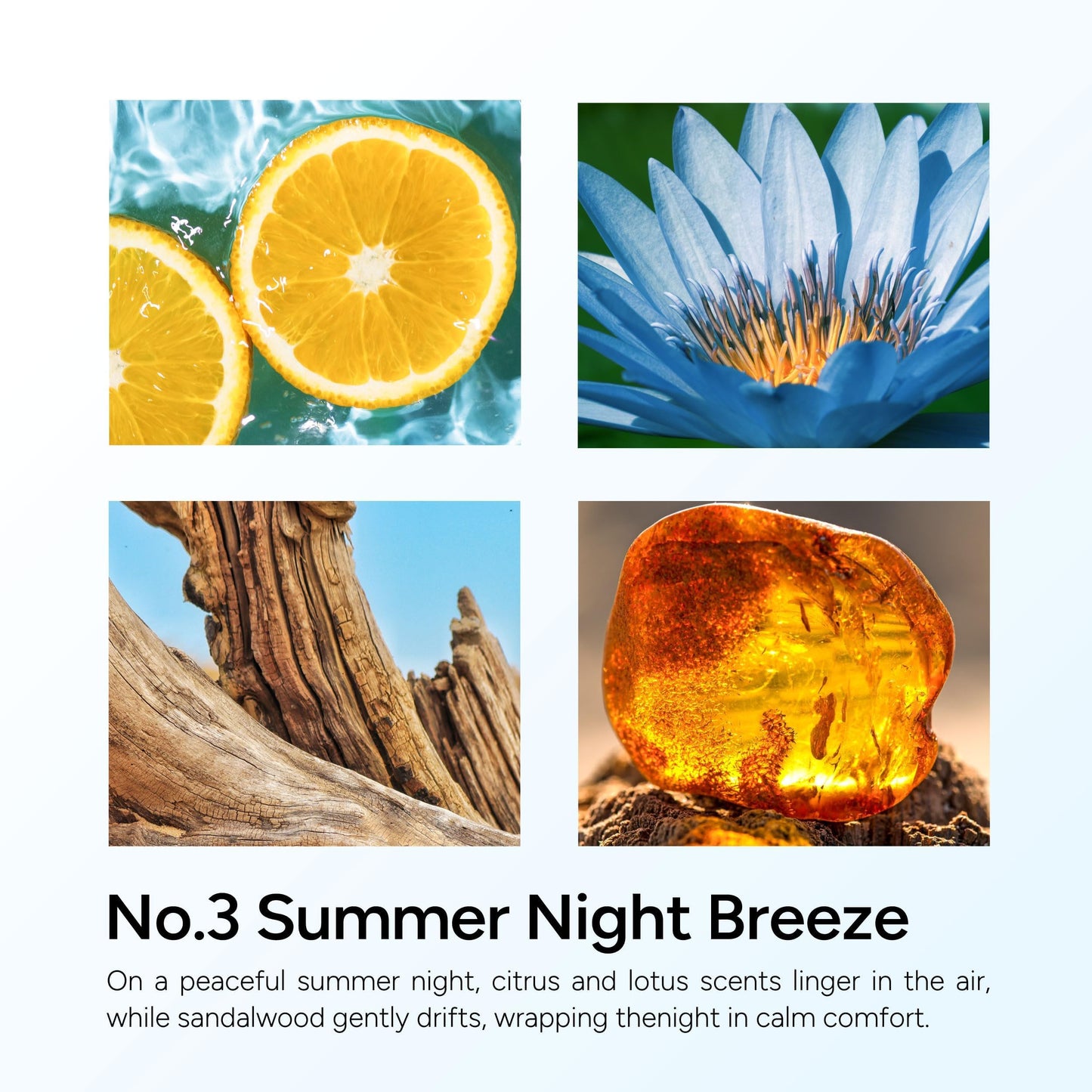LUMELOOM Summer Night Breeze Scented Candle, 11oz Aromatherapy Soy Wax Candles for Home Scented, Fruits, Flower, Wood Scent, Long Burning Time, Gifts for Women, Men, Friend, Relaxation & Stress Relief
