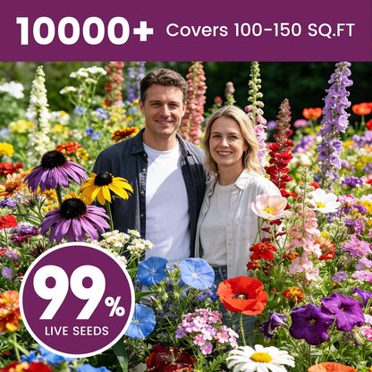 Wildflower Seeds | 10,000+ Bulk Butterfly & Hummingbird Mix | 21 Variety Heirloom Flower Seeds