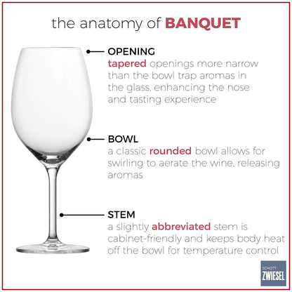 Schott Zwiesel Tritan Crystal Glass Banquet Stemware Collection All Purpose Wine Glass, 8.6 Ounce, Set of 6,