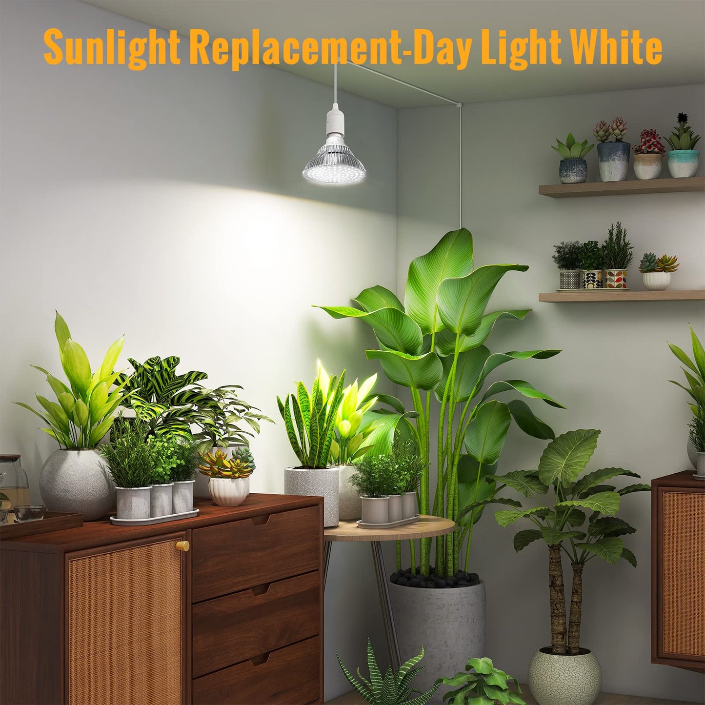 SpeePlant LED Grow Light Bulbs+4-Tier Plant Stand with Zippered PVC Tent, 27" L x 19" W x 59" H