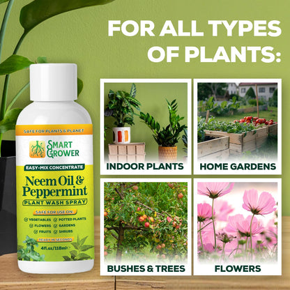 Neem Oil Spray for Plants by [Brand Name] - Peppermint Oil Formula for Indoor & Outdoor Use | 4 oz Concentrate Makes 1/2 Gallon Ready-to-Use
