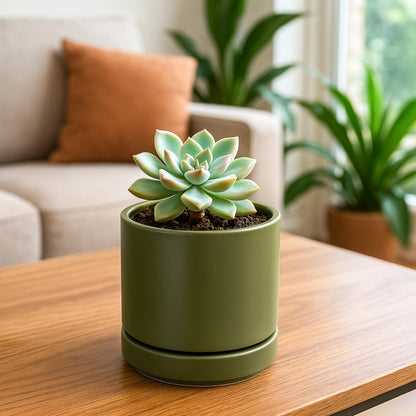 D'vine Dev Set of 4 Small Ceramic Plant Pots, 4.7 Inch Succulent Planter Pot for Plants with Drainage Hole and Saucer, Olive, 94-X-B-0