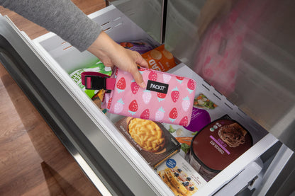 PackIt® Freezable Snack Box, Checked Out, Built with ECOFREEZE Technology, Collapsible, Reusable, Zip Closure with Buckle Handle, Designed For Work Snacks, Fresh Snacks On the Go, Adults, and All Ages