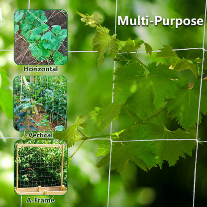 mychoiii Professional Garden Trellis Netting Bulk Roll 6.5ft x 3280ft - Heavy Duty Plant Support Net for Climbing Vegetables, 6" Mesh Scrog Netting for Grow Tent Cucumber Tomato Grape Vine Hydroponic