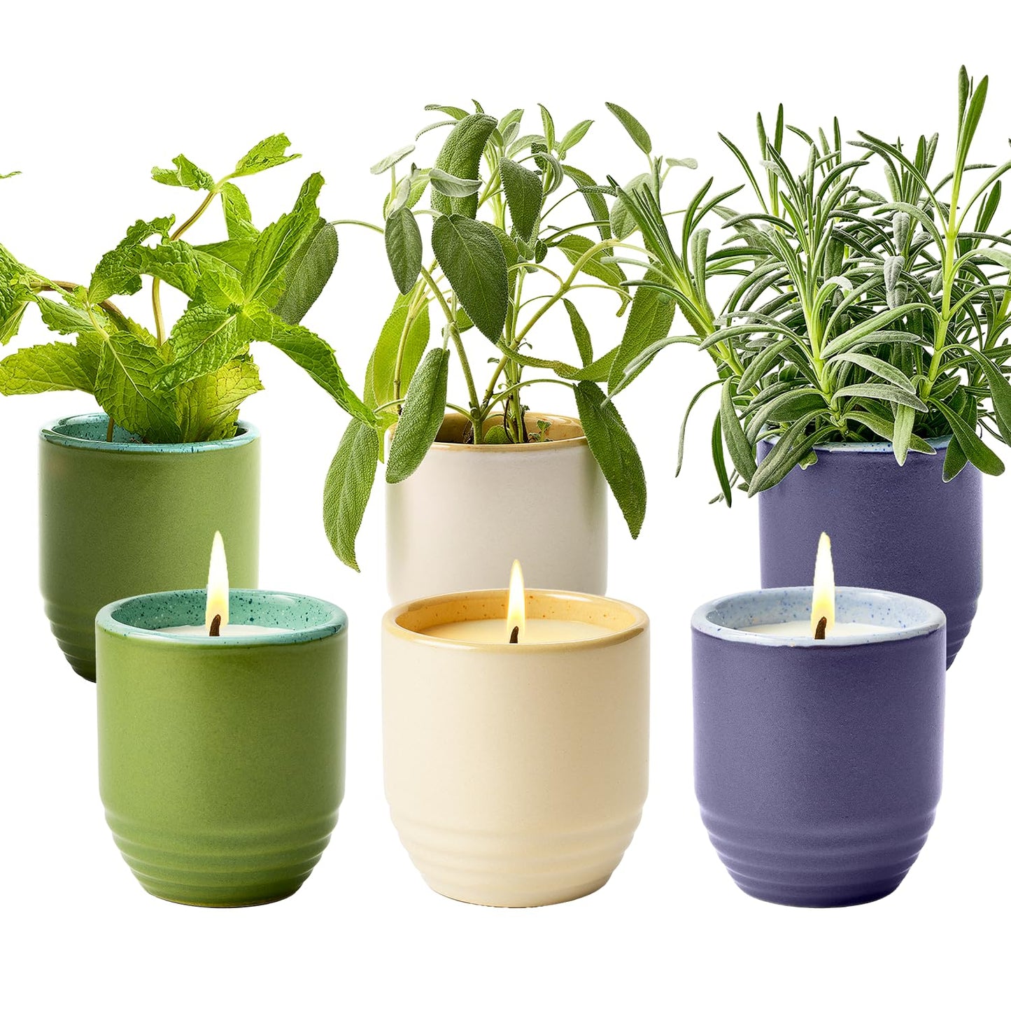 Modern Sprout - 2-in-1 Soy Candle & Planter - 3-Pack Indoor Set (Violet Hour, in The Weeds, Golden Moments) 6 Oz Scented Candles with Lavender, Sage & Mint Seeds – 38–40 Hr Burn Each