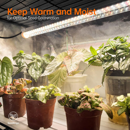 Bstrip Indoor Greenhouse with Grow Light, Plant Stand with 4 Pack 24W Full Spectrum Plant Lights , Plant Shelf with Tent for Indoor Plant, Seed Starting, Seed Tray, 29.5"x13.8"x59"