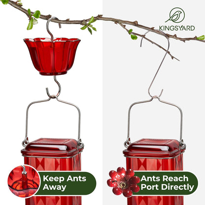 Kingsyard Hummingbird Feeder - 24 Ounce Glass Nectar Feeder with 6 Ports & Ant Moat | Red Garden Décor