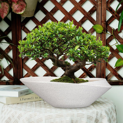EPFamily Bonsai Pots - 18 Inch Ceramic Plant Pot for Bonsai Tree, Modern Indoor & Outdoor Succulent Planter with Drainage, Room Decor, Gifts for Plant Lovers, White-Black
