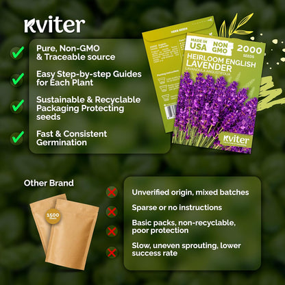 KVITER English Lavender Seeds - Organic Heirloom Perennial for Indoor & Outdoor Planting | Non-GMO Lavandula angustifolia