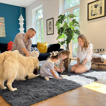 OLANLY Area Rugs - Soft Fluffy Shaggy Indoor Carpet for Living Room & Bedroom | 4x5.9 ft Grey