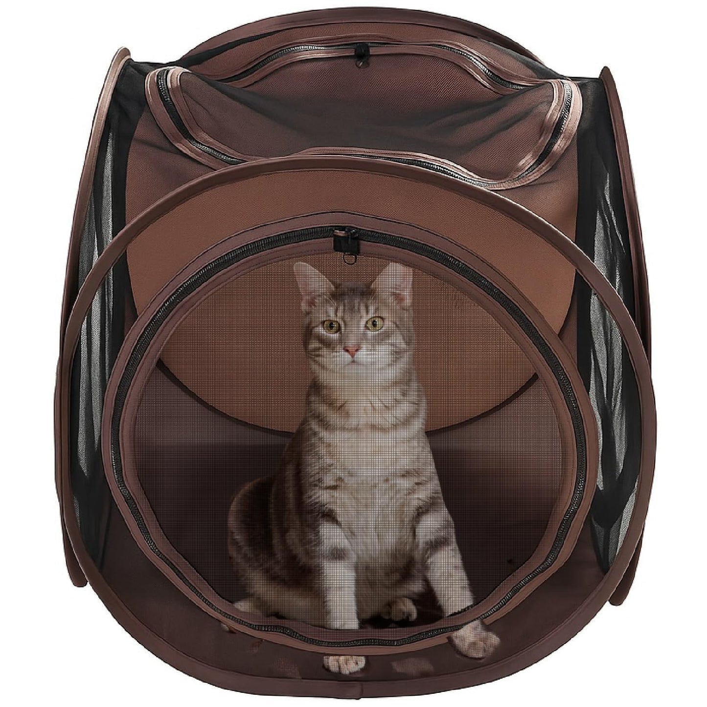 Snarky Pets T-Shaped Cat Tunnel & Cube Bundle – Interactive Indoor Cat Play Tunnel System with Cozy Cube