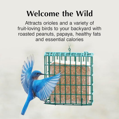 C&S Oriole Delight Suet Cakes - No Melt Formula for Wild Birds | 11.75 Ounces, Pack of 8