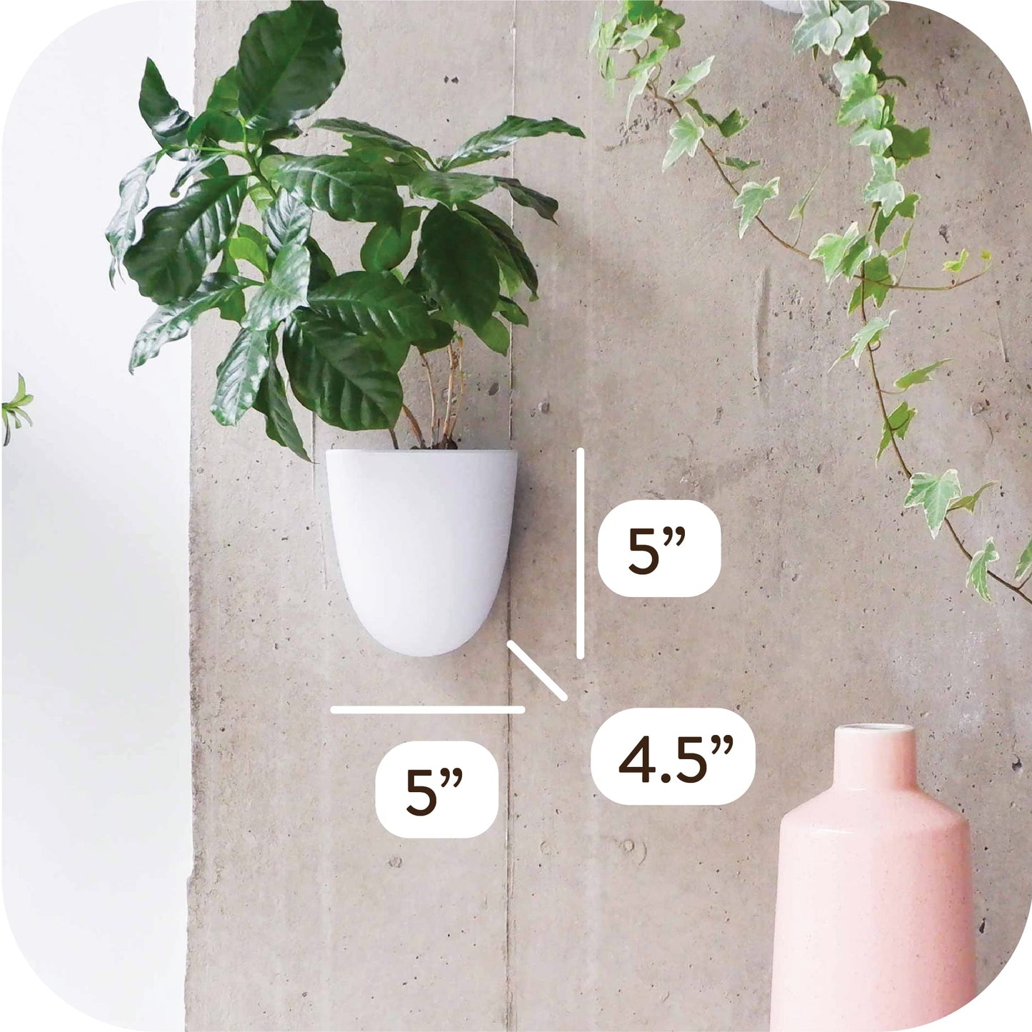 PlantPod Luxe Self-Watering Wall Planters (Set of 3) - Easy to Water and Install - Lightweight - Design Your Own Vertical Garden - Wall Planters for Indoor Plants