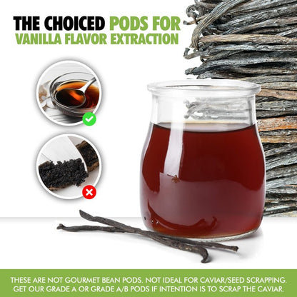 55 Organic Madagascar Vanilla Extract Exclusive Grade B Beans| 4" - 5" by FITNCLEAN VANILLA| Certified USDA Organic. Bulk Dry Whole Bourbon NON-GMO Pods
