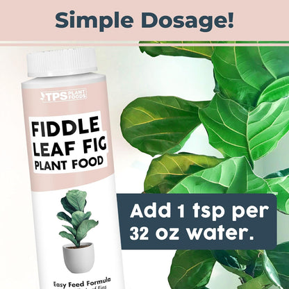 Skiennix Fiddle Leaf Fig Plant Food - Liquid Nutrient for Bigger Leaves & Stronger Roots | 8 oz