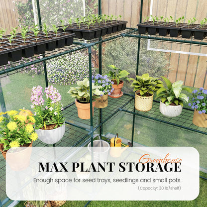 KING BIRD Premium Greenhouse for Outdoors, 56x56x77 in Walk-in Hot House with Thickened Cover, Reinforced Frame, Screen Windows & Mesh Door, 3 Tiers 14 Shelves for Outside Garden Seedlings, Clear
