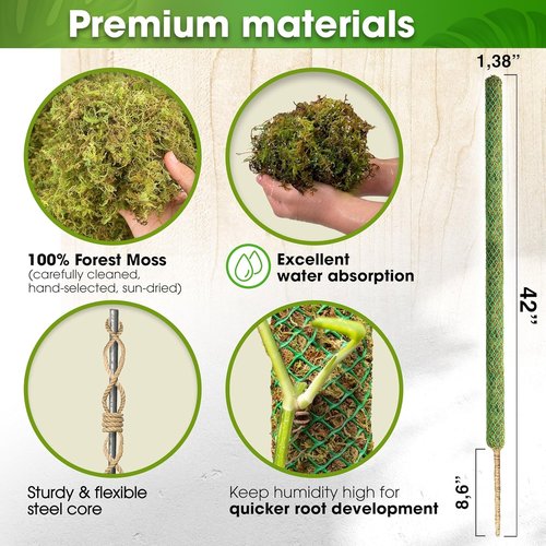 DUSPRO 42” Mesh Moss Pole - Natural Support for Climbing Plants | Ideal for Monstera & Indoor Use