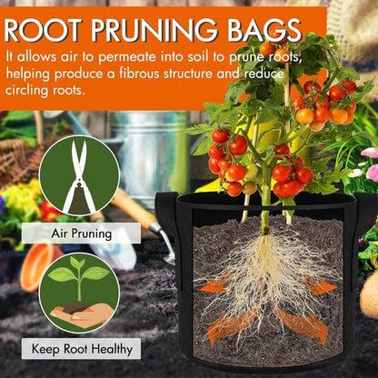 Gardzen 1 Gallon Grow Bags - 10-Pack Heavy Duty Aeration Fabric with Handles, 300G Thickness
