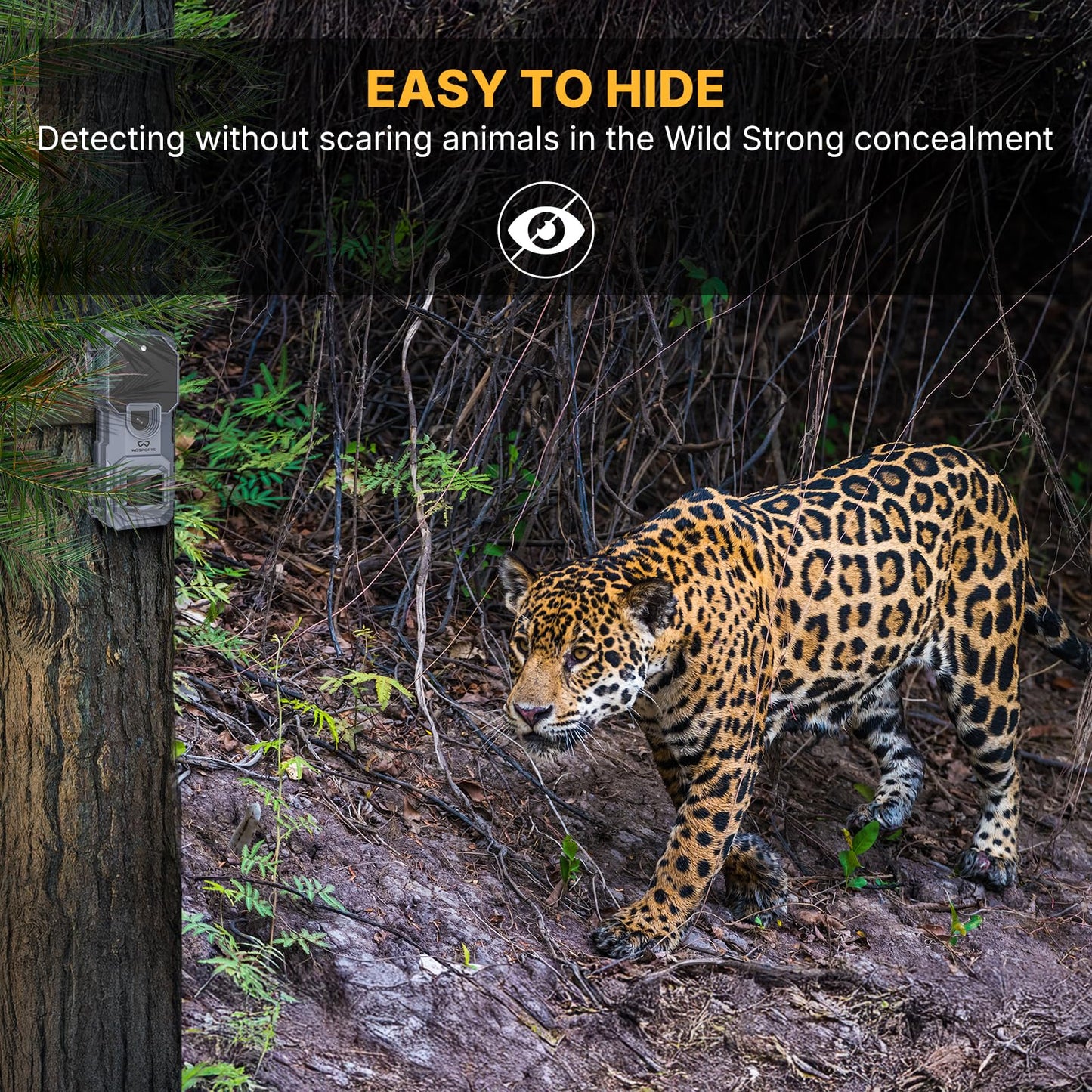 WOSPORTS Trail Camera 4 Pack 32MP 1080P HD Deer Camera with 32GB SD Card Game Cameras with Night Vision Motion Activated Waterproof for Outdoor Wildlife Monitoring with Card Reader