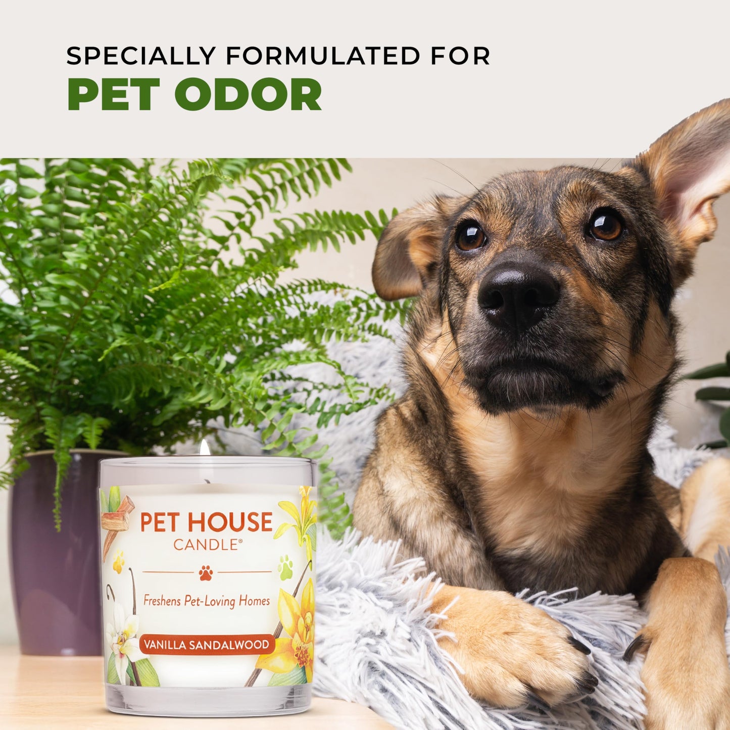 One Fur All Pet House Vanilla Candle Plant-Based/Soy - Clean Burning Scented, Long Lasting Pet Odor Candle for Home - Fresh Citrus