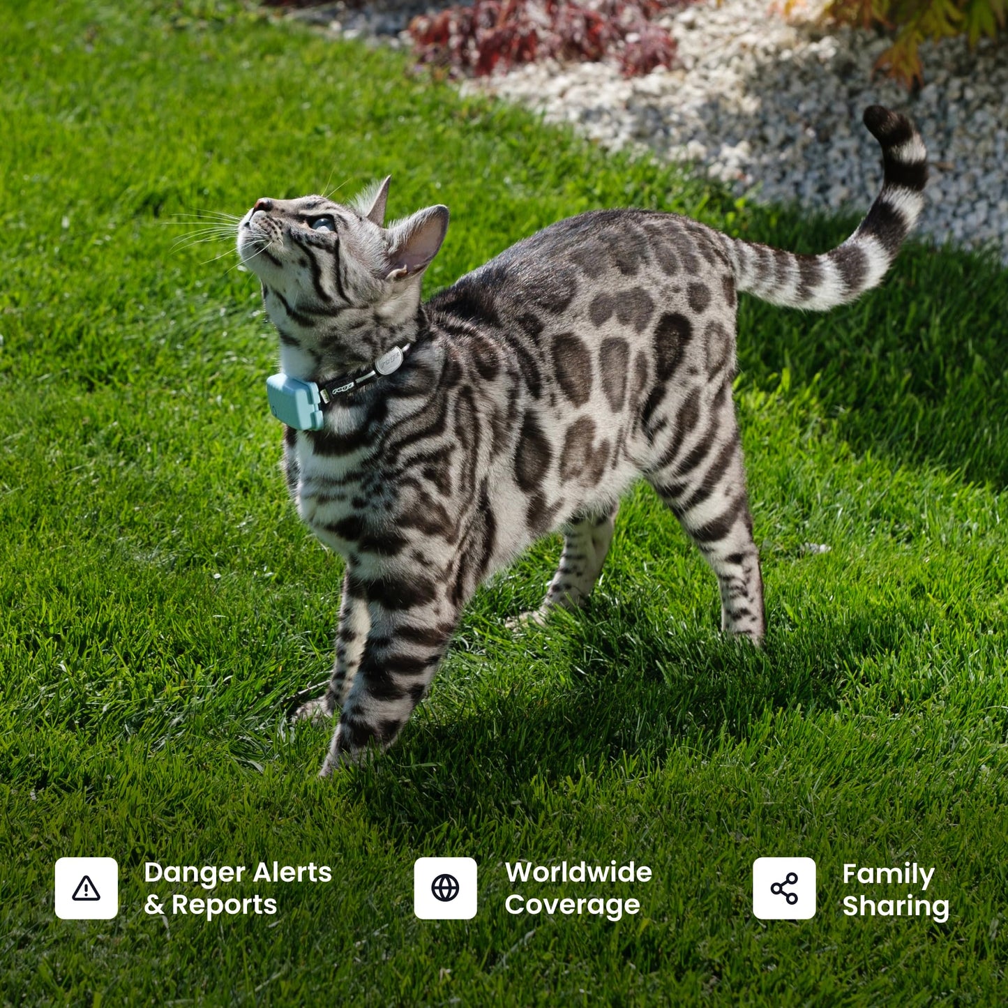 Tractive Smart Cat GPS Tracker | Real-Time Location & Wellness Monitoring for Cats 6.5 lbs+ | Territory & Location History | Up to 5-Day Battery | Breakaway Collar Included (Mint)
